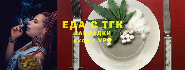 гидра Богородск