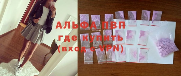гидра Богородск