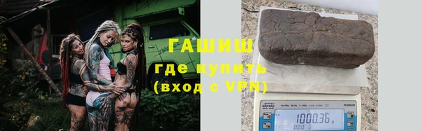 гидра Богородск