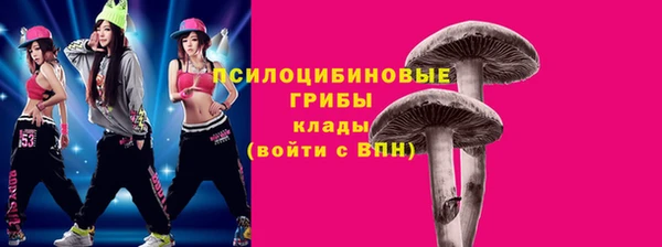 гидра Богородск