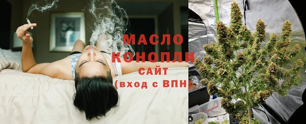 гидра Богородск